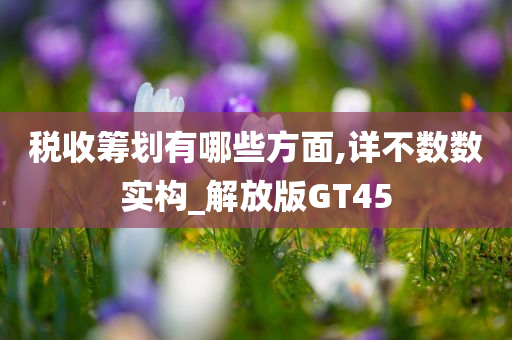 税收筹划有哪些方面,详不数数实构_解放版GT45
