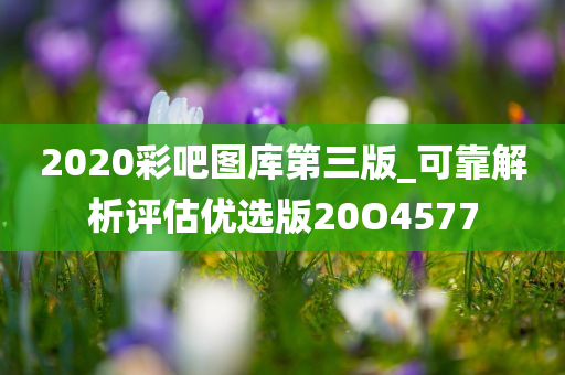 2020彩吧图库第三版_可靠解析评估优选版20O4577