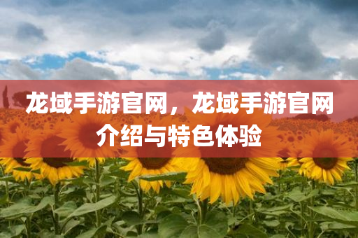 龙域手游官网，龙域手游官网介绍与特色体验