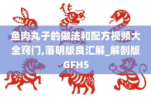 鱼肉丸子的做法和配方视频大全窍门,落明版良汇解_解剖版GFH5