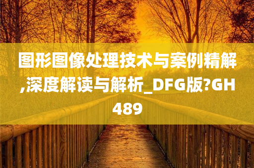 图形图像处理技术与案例精解,深度解读与解析_DFG版?GH489