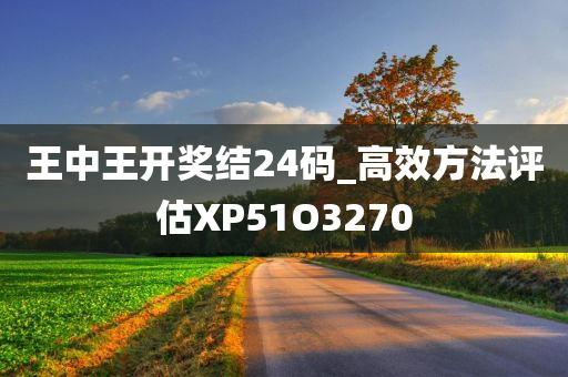 王中王开奖结24码_高效方法评估XP51O3270