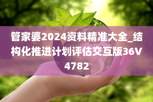 管家婆2024资料精准大全_结构化推进计划评估交互版36V4782