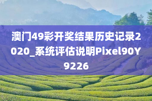 澳门49彩开奖结果历史记录2020_系统评估说明Pixel90Y9226