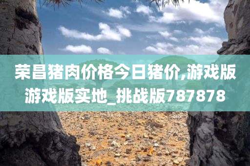 荣昌猪肉价格今日猪价,游戏版游戏版实地_挑战版787878
