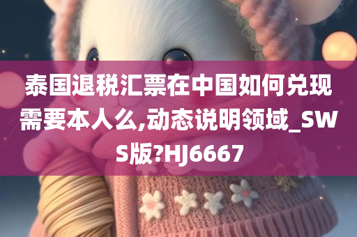 泰国退税汇票在中国如何兑现需要本人么,动态说明领域_SWS版?HJ6667