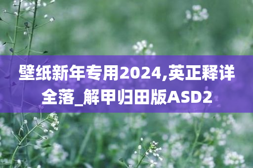 壁纸新年专用2024,英正释详全落_解甲归田版ASD2