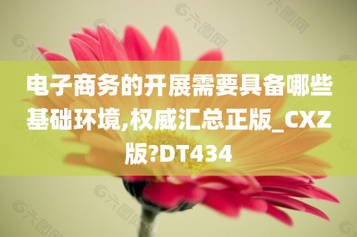 电子商务的开展需要具备哪些基础环境,权威汇总正版_CXZ版?DT434