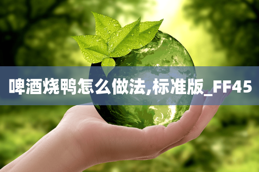啤酒烧鸭怎么做法,标准版_FF45