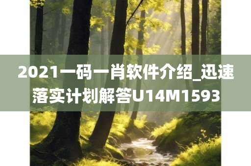 2021一码一肖软件介绍_迅速落实计划解答U14M1593