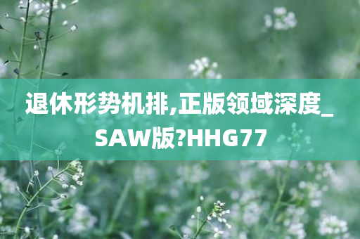 退休形势机排,正版领域深度_SAW版?HHG77