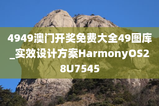 4949澳门开奖免费大全49图库_实效设计方案HarmonyOS28U7545