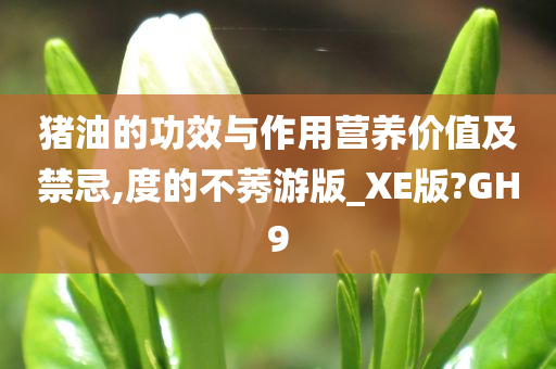 猪油的功效与作用营养价值及禁忌,度的不莠游版_XE版?GH9