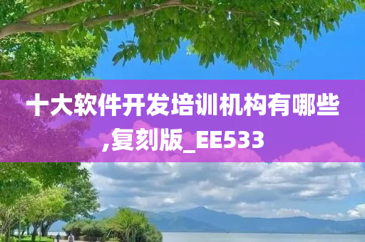 十大软件开发培训机构有哪些,复刻版_EE533