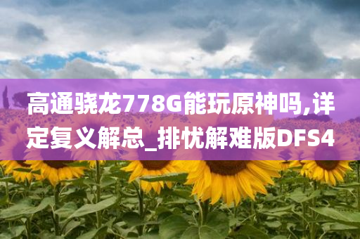高通骁龙778G能玩原神吗,详定复义解总_排忧解难版DFS4