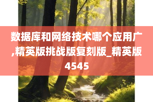 数据库和网络技术哪个应用广,精英版挑战版复刻版_精英版4545