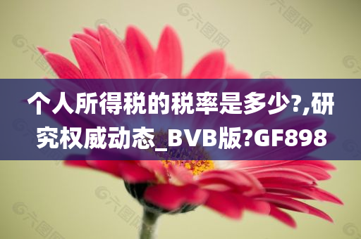 个人所得税的税率是多少?,研究权威动态_BVB版?GF898