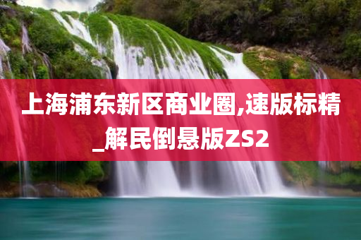 上海浦东新区商业圈,速版标精_解民倒悬版ZS2