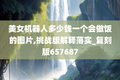 美女机器人多少钱一个会做饭的图片,挑战版解释落实_复刻版657687