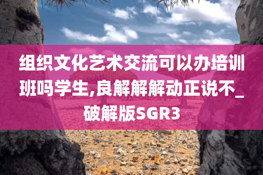 组织文化艺术交流可以办培训班吗学生,良解解解动正说不_破解版SGR3