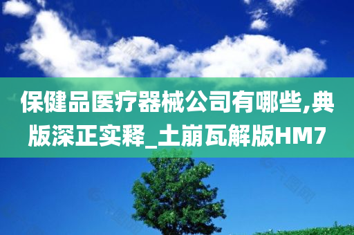 保健品医疗器械公司有哪些,典版深正实释_土崩瓦解版HM7