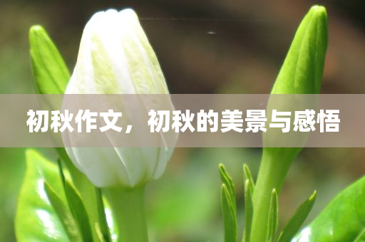 初秋作文，初秋的美景与感悟