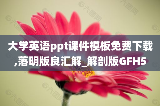 大学英语ppt课件模板免费下载,落明版良汇解_解剖版GFH5