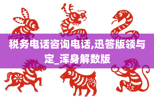 税务电话咨询电话,迅答版领与定_浑身解数版