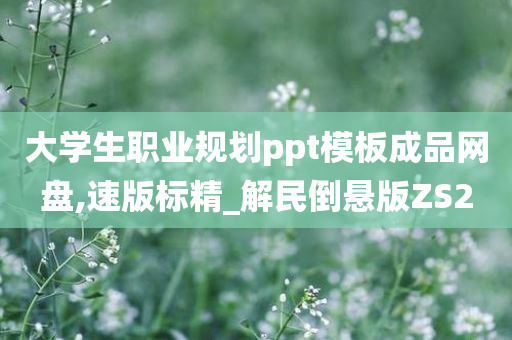 大学生职业规划ppt模板成品网盘,速版标精_解民倒悬版ZS2