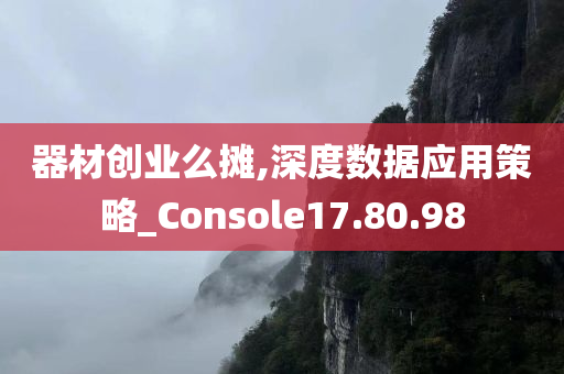器材创业么摊,深度数据应用策略_Console17.80.98