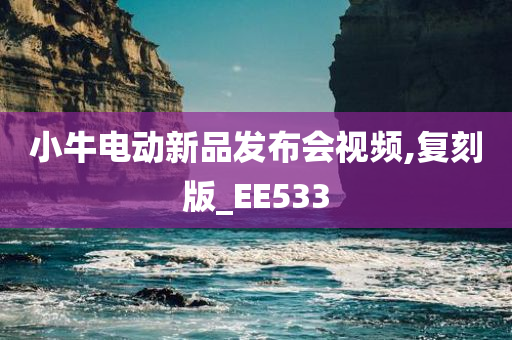 小牛电动新品发布会视频,复刻版_EE533
