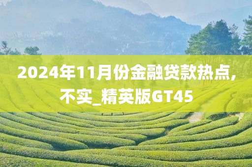 2024年11月份金融贷款热点,不实_精英版GT45