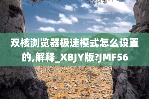 双核浏览器极速模式怎么设置的,解释_XBJY版?JMF56