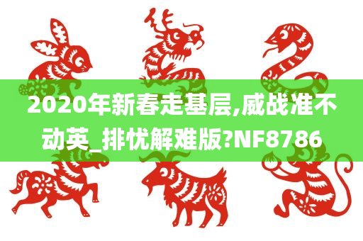 2020年新春走基层,威战准不动英_排忧解难版?NF8786