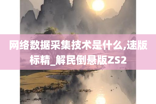 网络数据采集技术是什么,速版标精_解民倒悬版ZS2