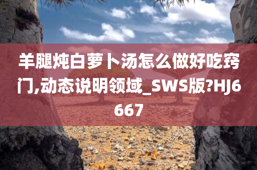 羊腿炖白萝卜汤怎么做好今晚必出三肖2025_2025新澳门精准免费提供·精确判断吃窍门,动态说明领域_SWS版?HJ6667