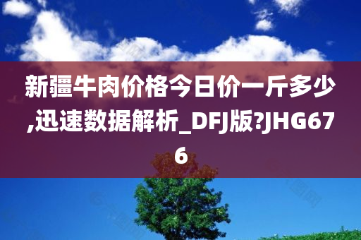 新疆牛肉价格今日价一斤多少,迅速数据解析_DFJ版?JHG676