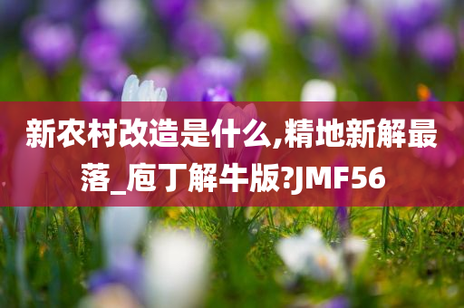 新农村改造是什么,精地新解最落_庖丁解牛版?JMF56
