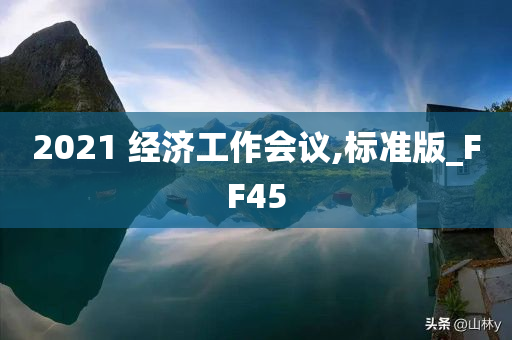 2021 经济工作会议,标准版_FF45