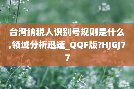 台湾纳税人识别号规则是什么,领域分析迅速_QQF版?HJGJ77