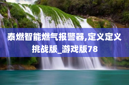 泰燃智能燃气报警器,定义定义挑战版_游戏版78