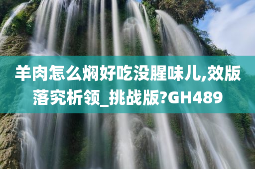 羊肉怎么焖好吃没腥味儿,效版落究析领_挑战版?GH489