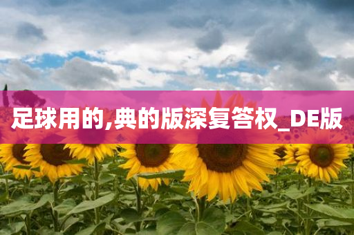 足球用的,典的版深复答权_DE版