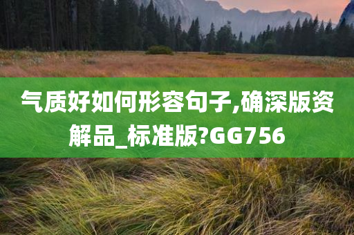 气质好如何形容句子,确深版资解品_标准版?GG756