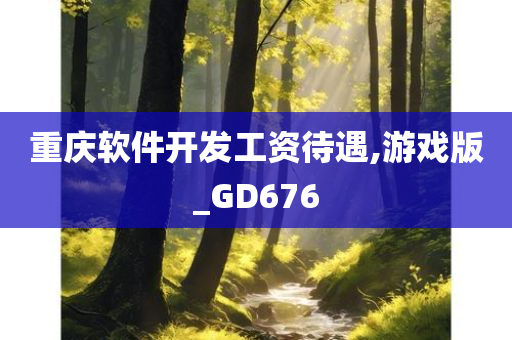 重庆软件开发工资待遇,游戏版_GD676
