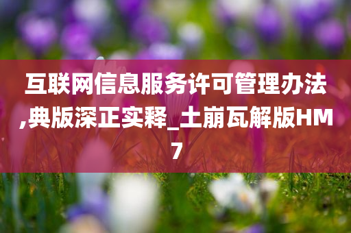 互联网信息服务许可管理办法,典版深正实释_土崩瓦解版HM7