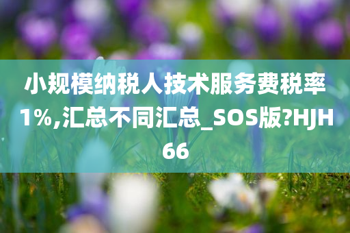 小规模纳税人技术服务费税率1%,汇总不同汇总_SOS版?HJH66