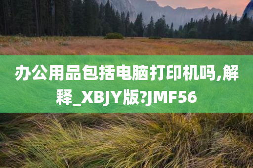 办公用品包括电脑打印机吗,解释_XBJY版?JMF5今晚必出三肖2025_2025新澳门精准免费提供·精确判断6
