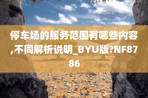 luyijun 第87页