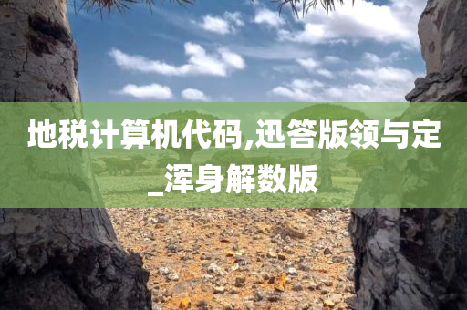 地税计算机代码,迅答版领与定_浑身解数版